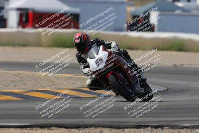 media/Mar-12-2023-SoCal Trackdays (Sun) [[d4c8249724]]/Turn 2 (1130am)/